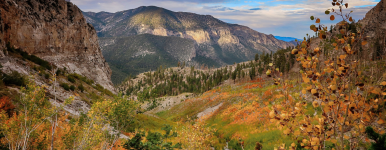 Untitled design (45)